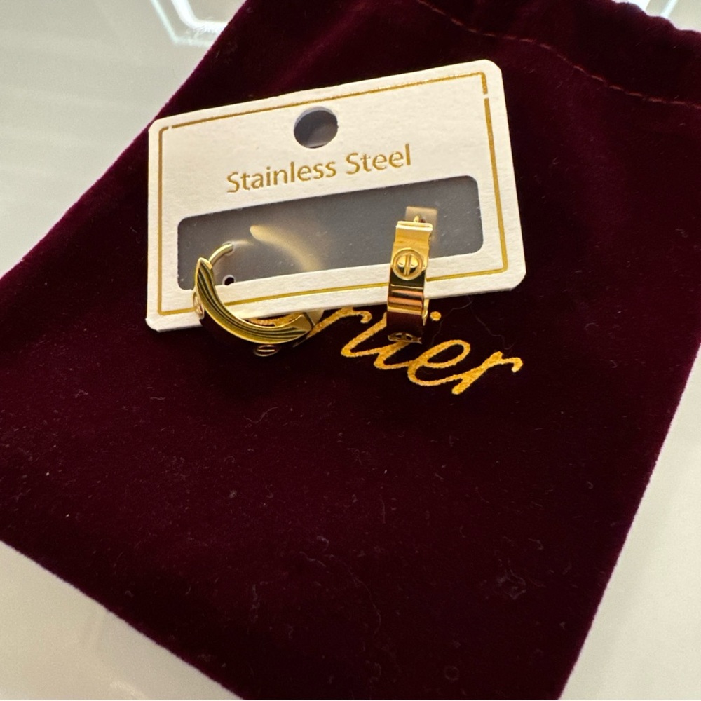 Gold Stainless Steel Earrings